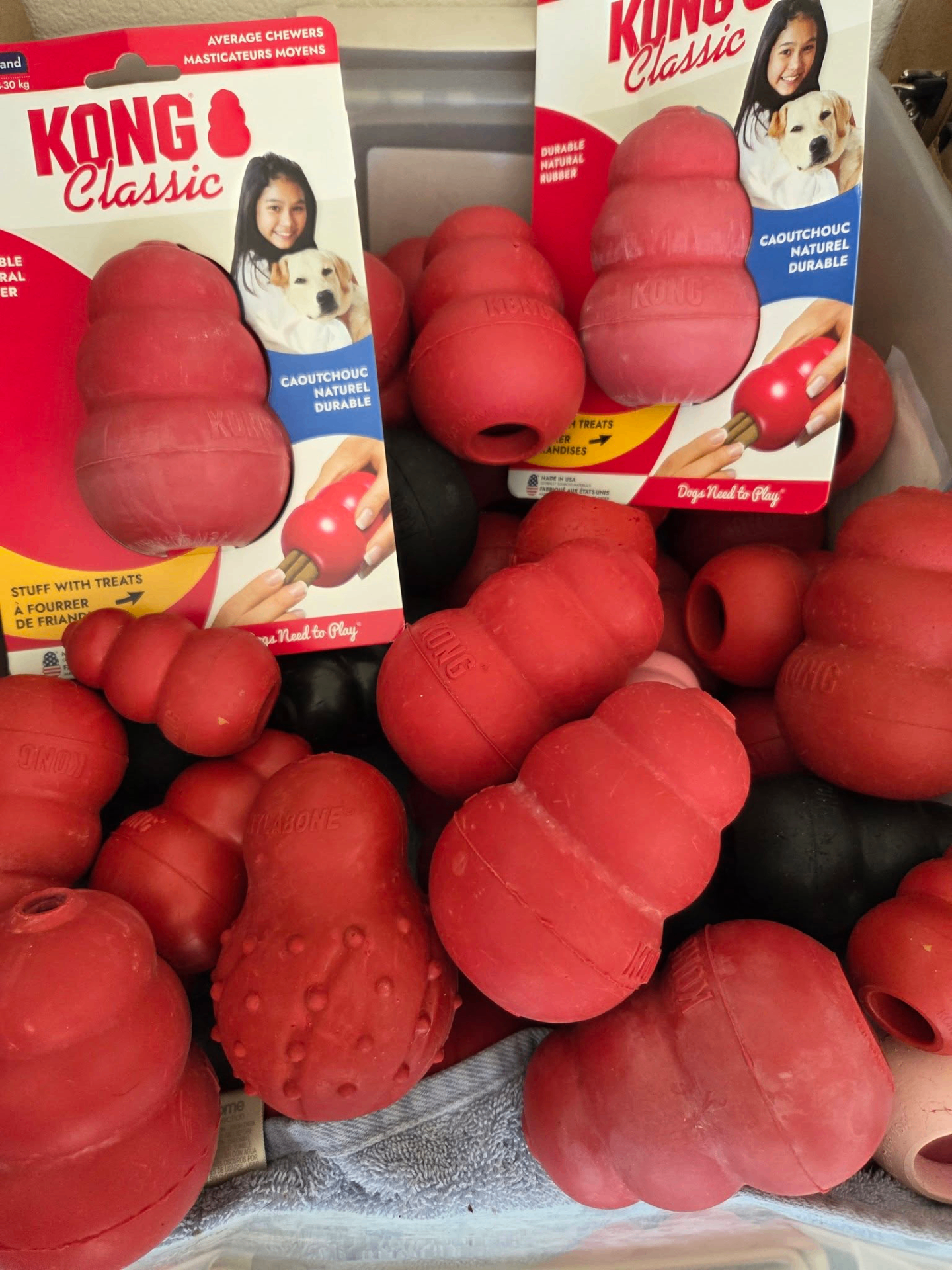 Help us beat the heat with stuffed KONGs!